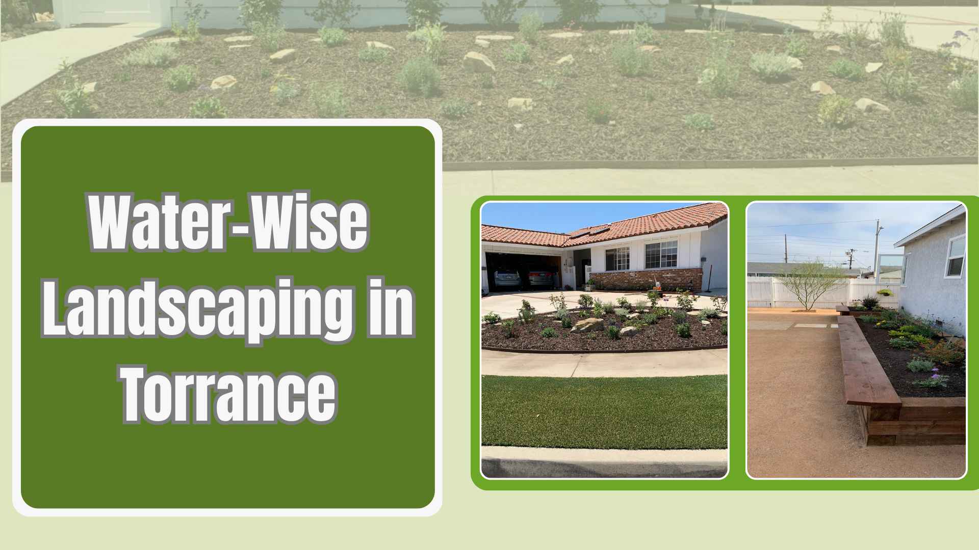 Torrance’s Water-Wise Wonders: Stunning & Eco Friendly Landscape Refreshes
