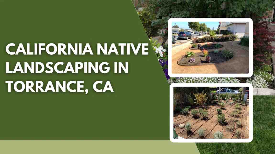 What is California native landscaping?